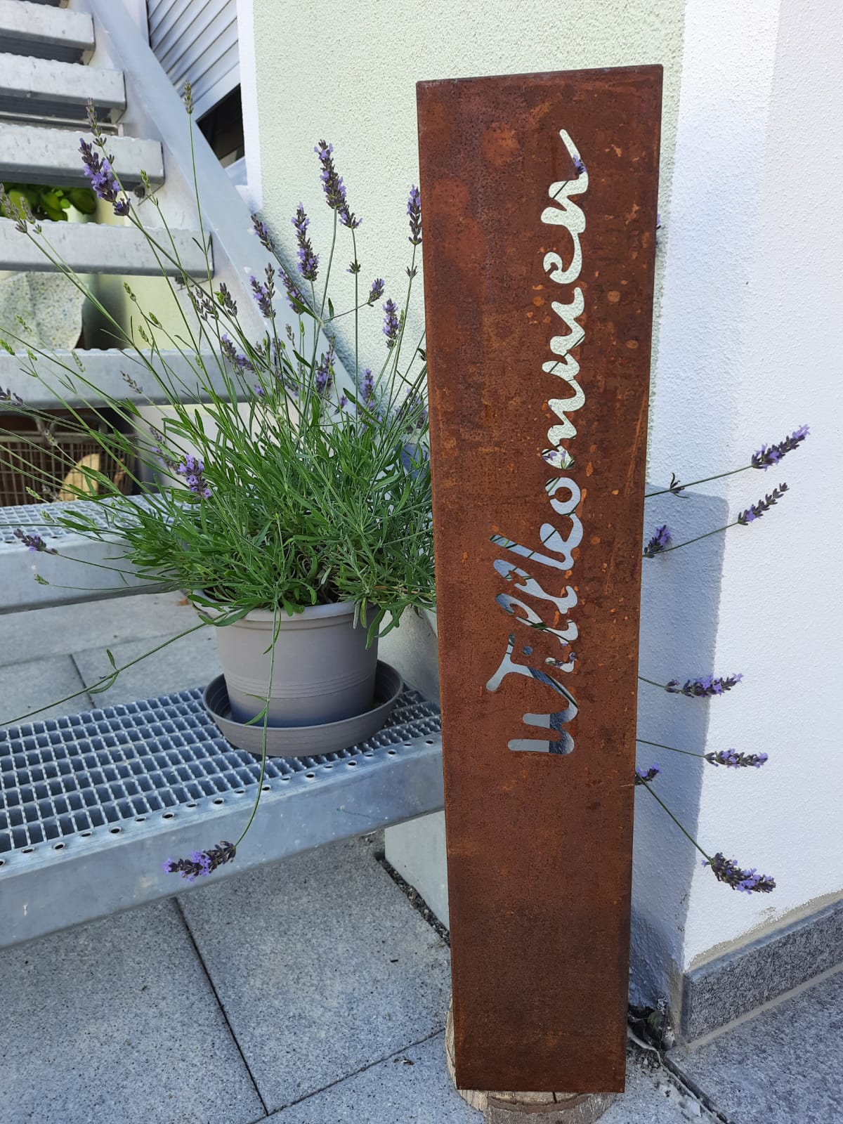 WhatsApp Image 2022-08-24 at 12.01.20 (5)